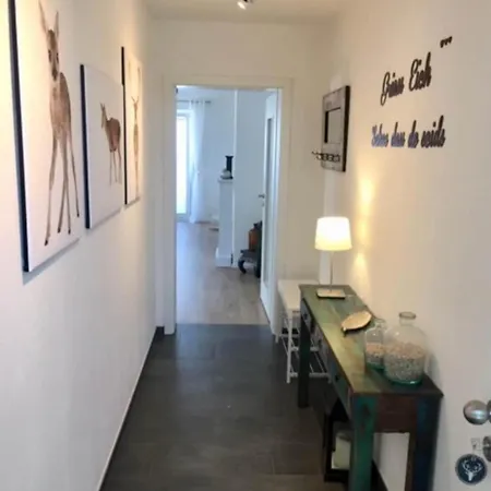 Modern With A Good Starting Point *
